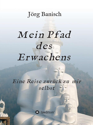 cover image of Mein Pfad des Erwachens